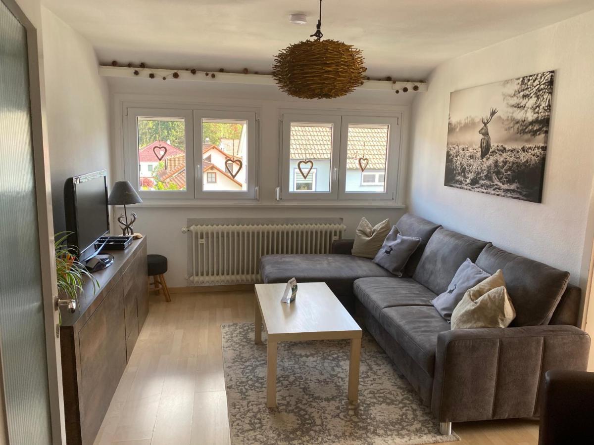 Ferienwohnung Fruehlingsau Фройденщат Екстериор снимка