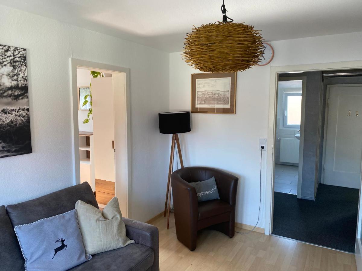 Ferienwohnung Fruehlingsau Фройденщат Екстериор снимка