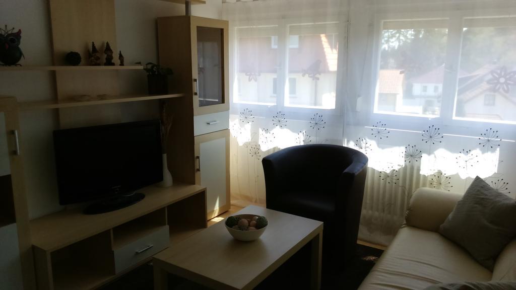Ferienwohnung Fruehlingsau Фройденщат Екстериор снимка